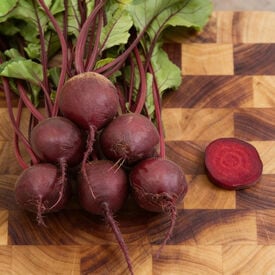 Red Ace, (F1) Beet Seeds